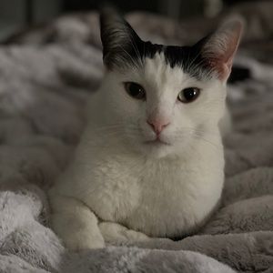 Meet your Posher, Nikki